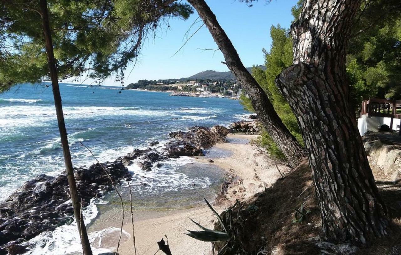 **** Beau T2 de 40 m2, jardin de 70m2, au calme, à 50 mètres de la plage Le Pradet Exterior foto